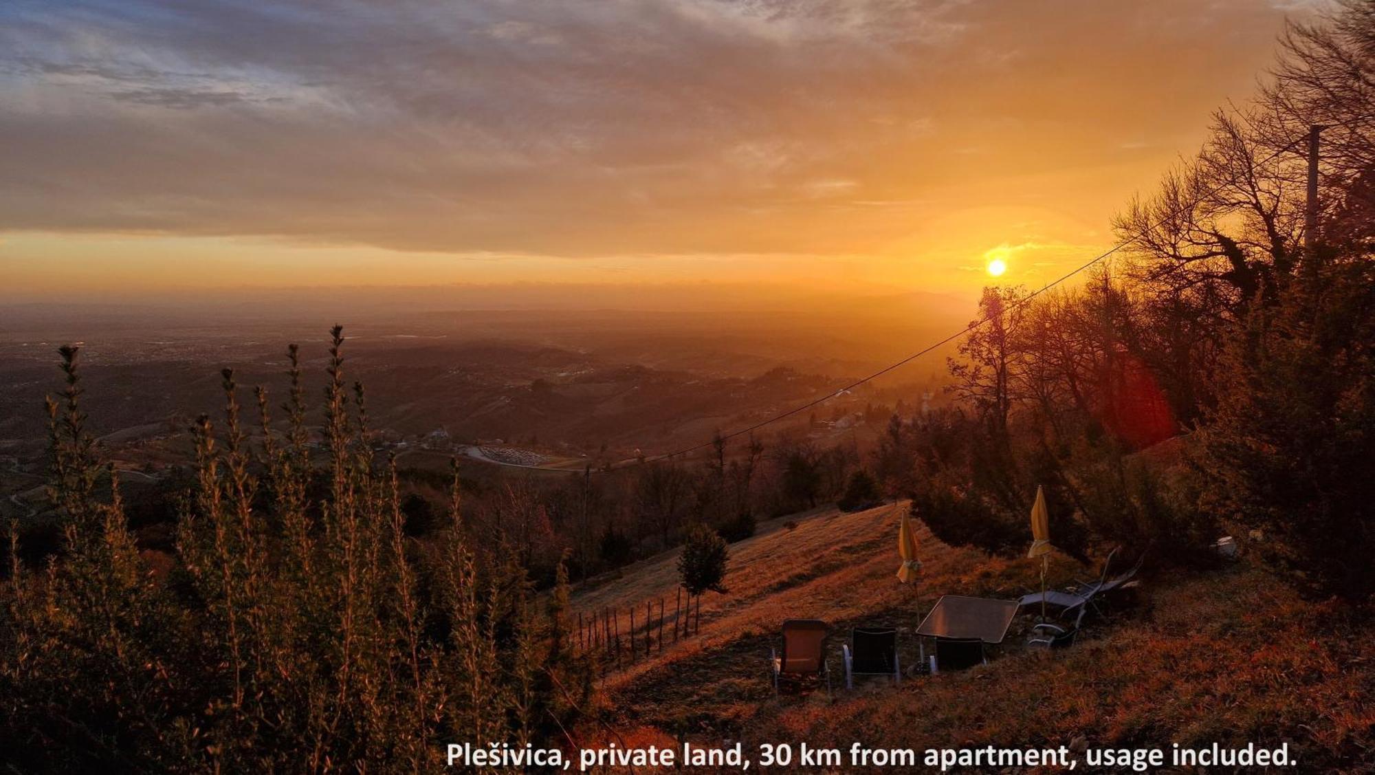 Apartma Citylights & Winecountrydelights